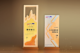 万象城AWC(中国)国际一举斩获“2024年度中国区最佳雇主”等多项大奖